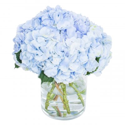 Hydrangea - Light Blue